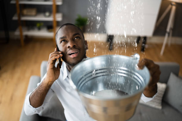 Best Local water damage restoration  in Tuckahoe, NY