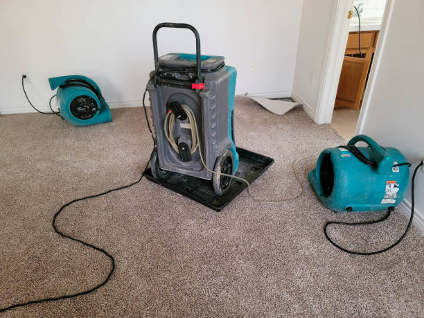 Best Flooded house restoration  in Tuckahoe, NY