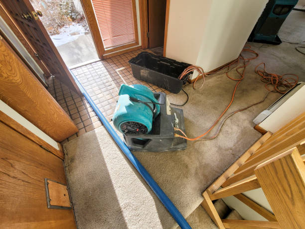 Best Local water damage restoration  in Tuckahoe, NY