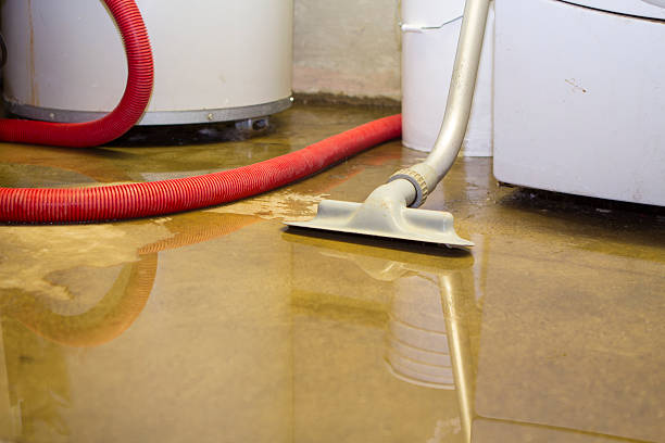 Best Fire Damage Restoration  in Tuckahoe, NY
