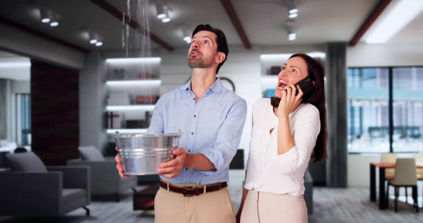 Best Professional water damage repair  in Tuckahoe, NY