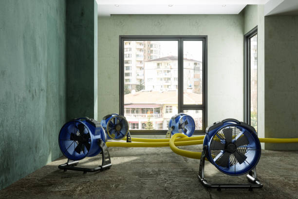 Best 24-hour water damage restoration  in Tuckahoe, NY